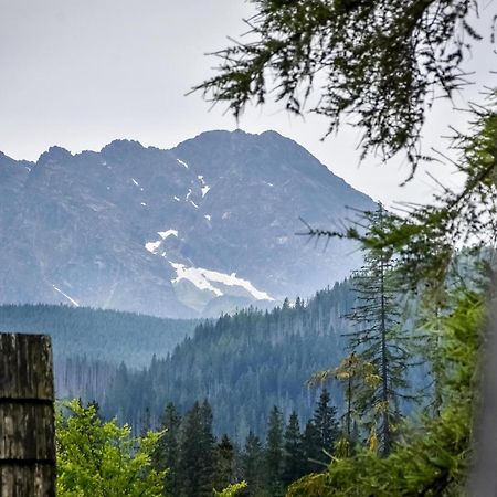 Za Gorami Za Lasami Zakopane Exterior foto