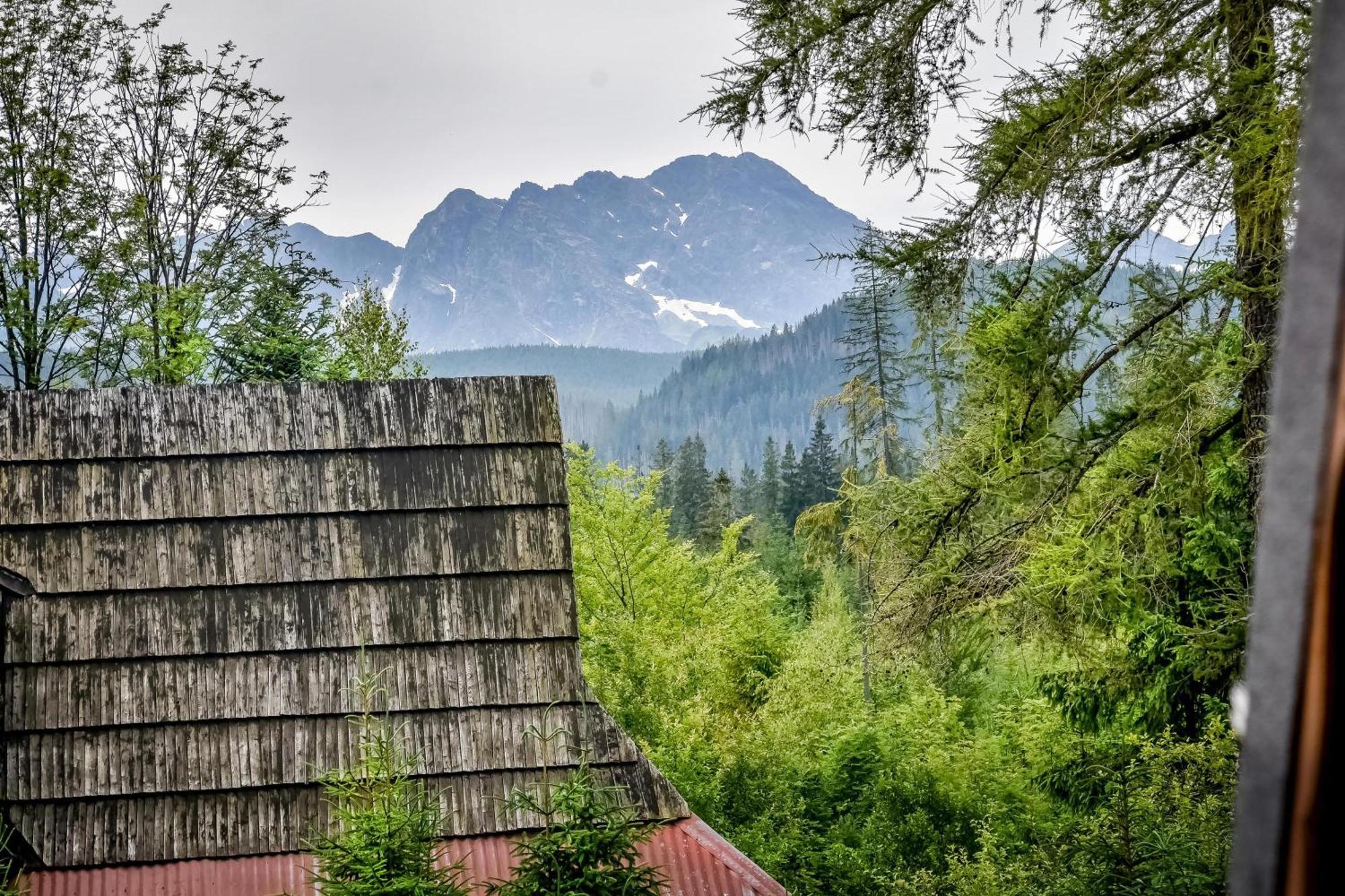 Za Gorami Za Lasami Zakopane Exterior foto