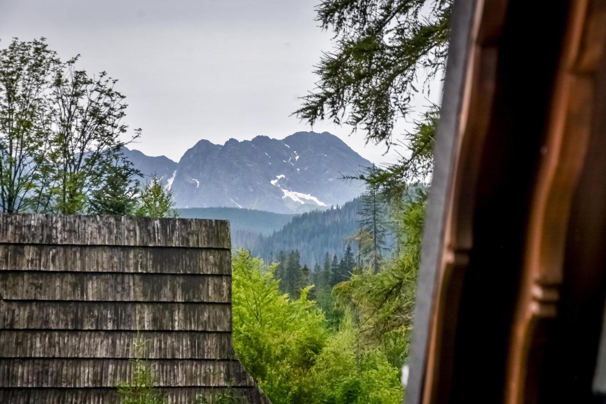 Za Gorami Za Lasami Zakopane Exterior foto
